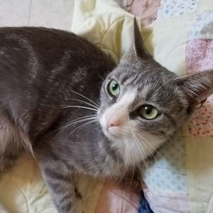 Meet your Posher, Kathy